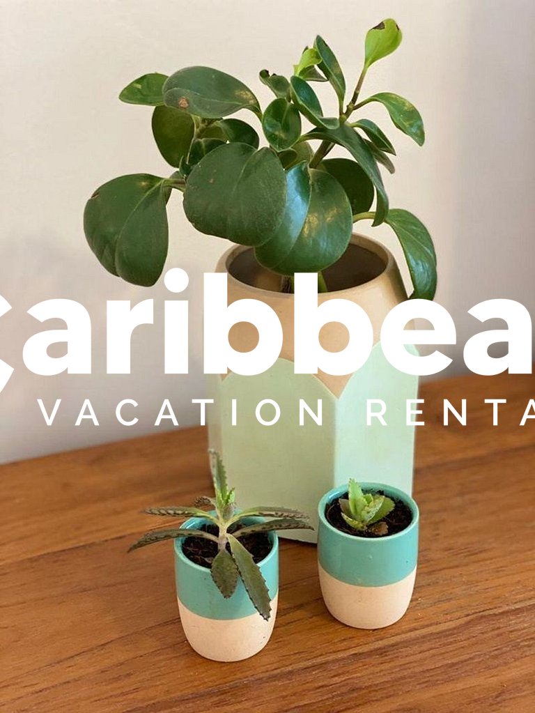 Beach Garden | Condo Planta Baja Piscina