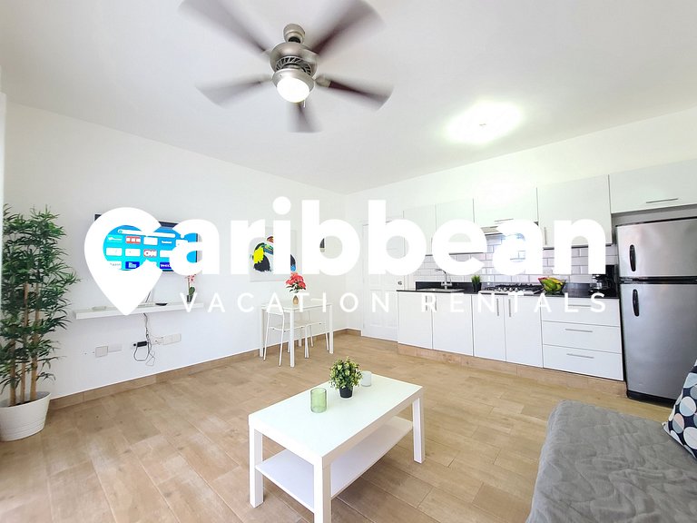 El Dorado Apartment 1bedroom walking distance from Playa Bav