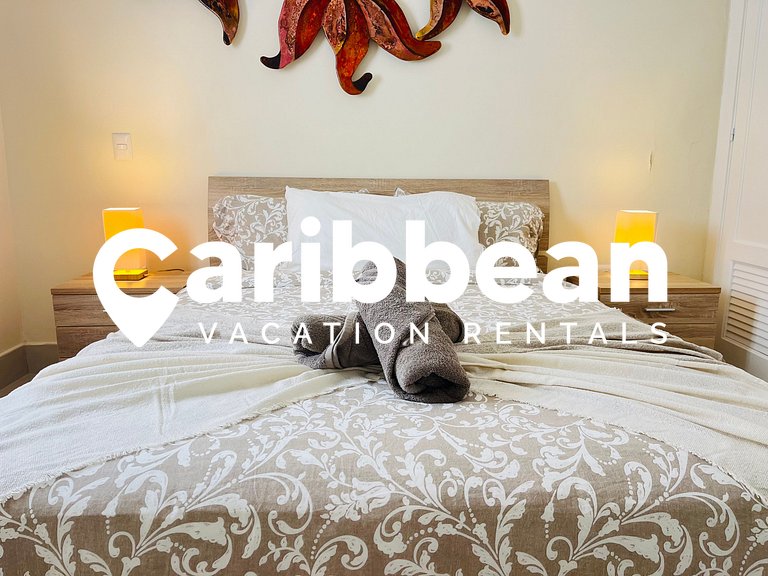 Beach Front condo with ocean views with private beach
