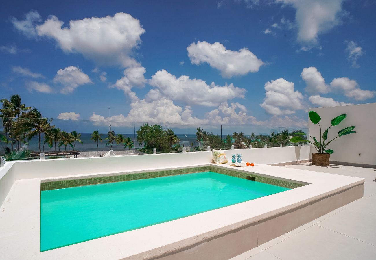 Apartment in Bávaro - Gorgeous ocean views penthouse with private picuzz