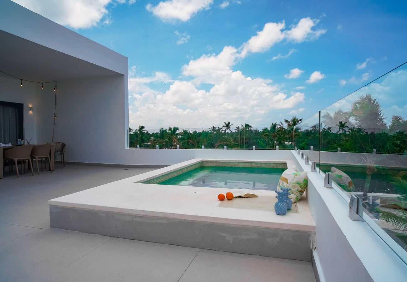 Apartment in Bávaro - Gorgeous ocean views penthouse with private picuzz