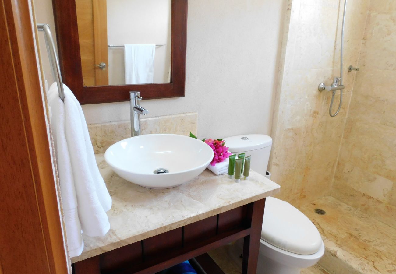 Apartment in Bávaro - Spectacular Penthouse Ocean Views. Playa Bavaro. P