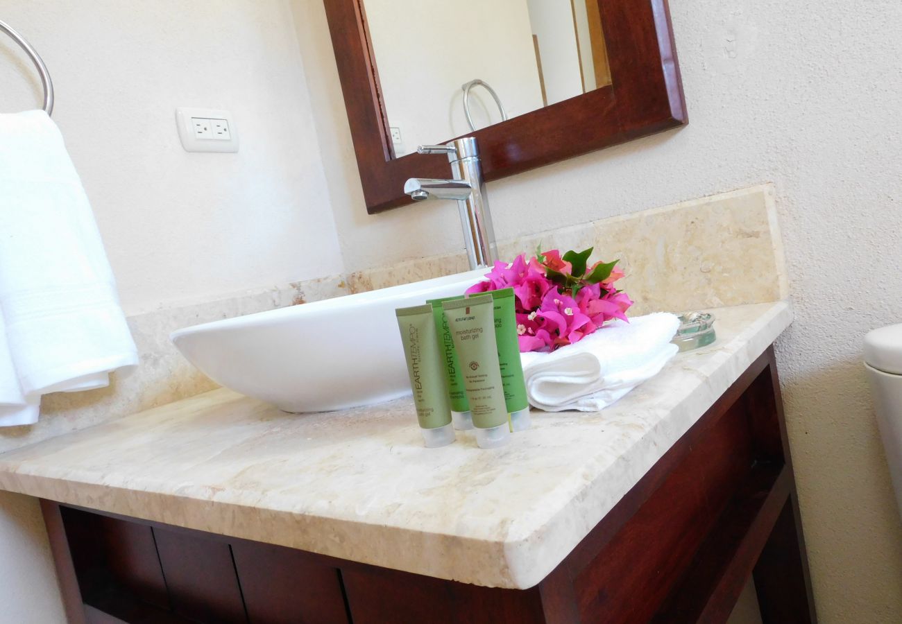 Apartment in Bávaro - Spectacular Penthouse Ocean Views. Playa Bavaro. P