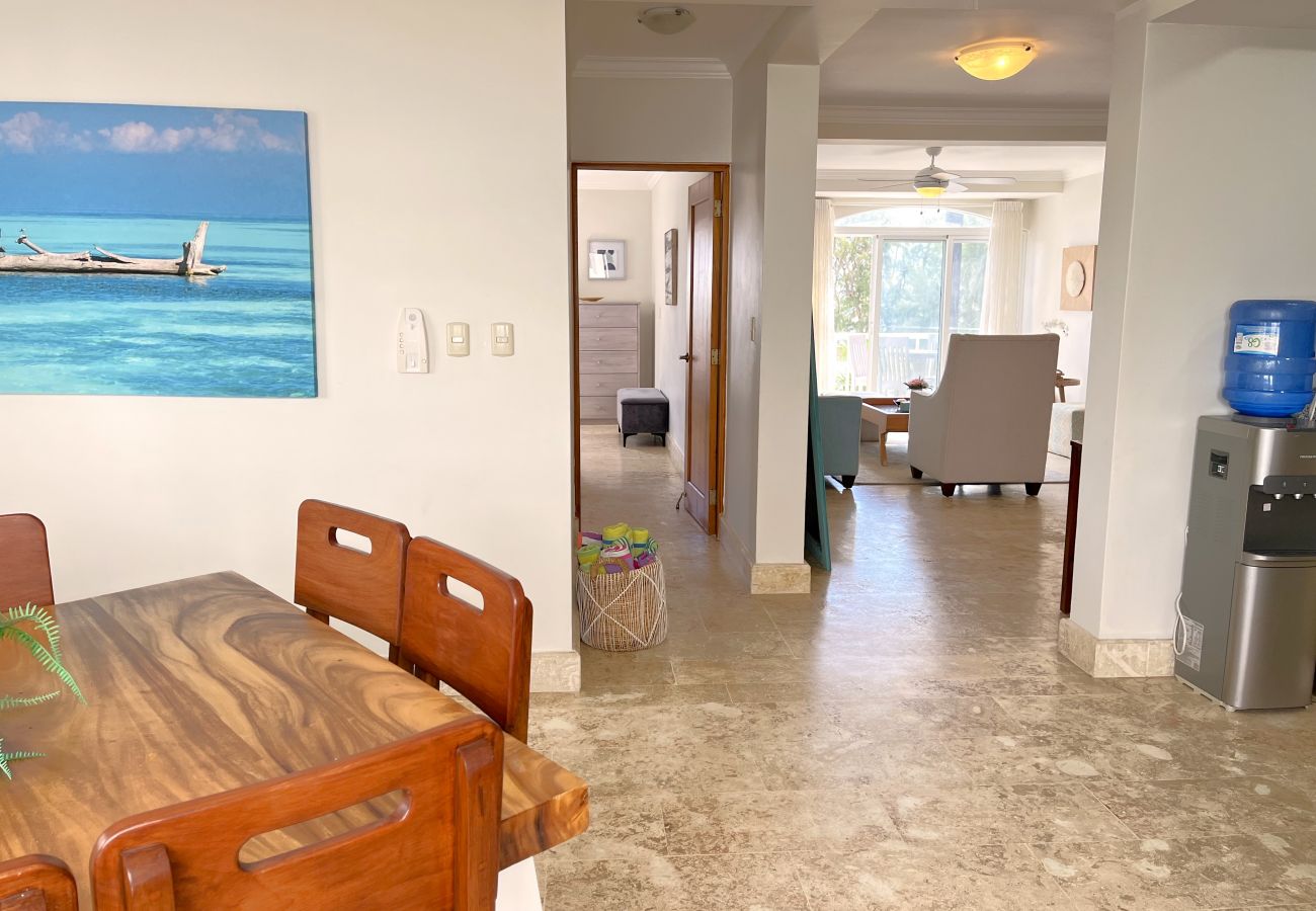 Apartment in Bávaro - Spectacular Penthouse Ocean Views. Playa Bavaro. P
