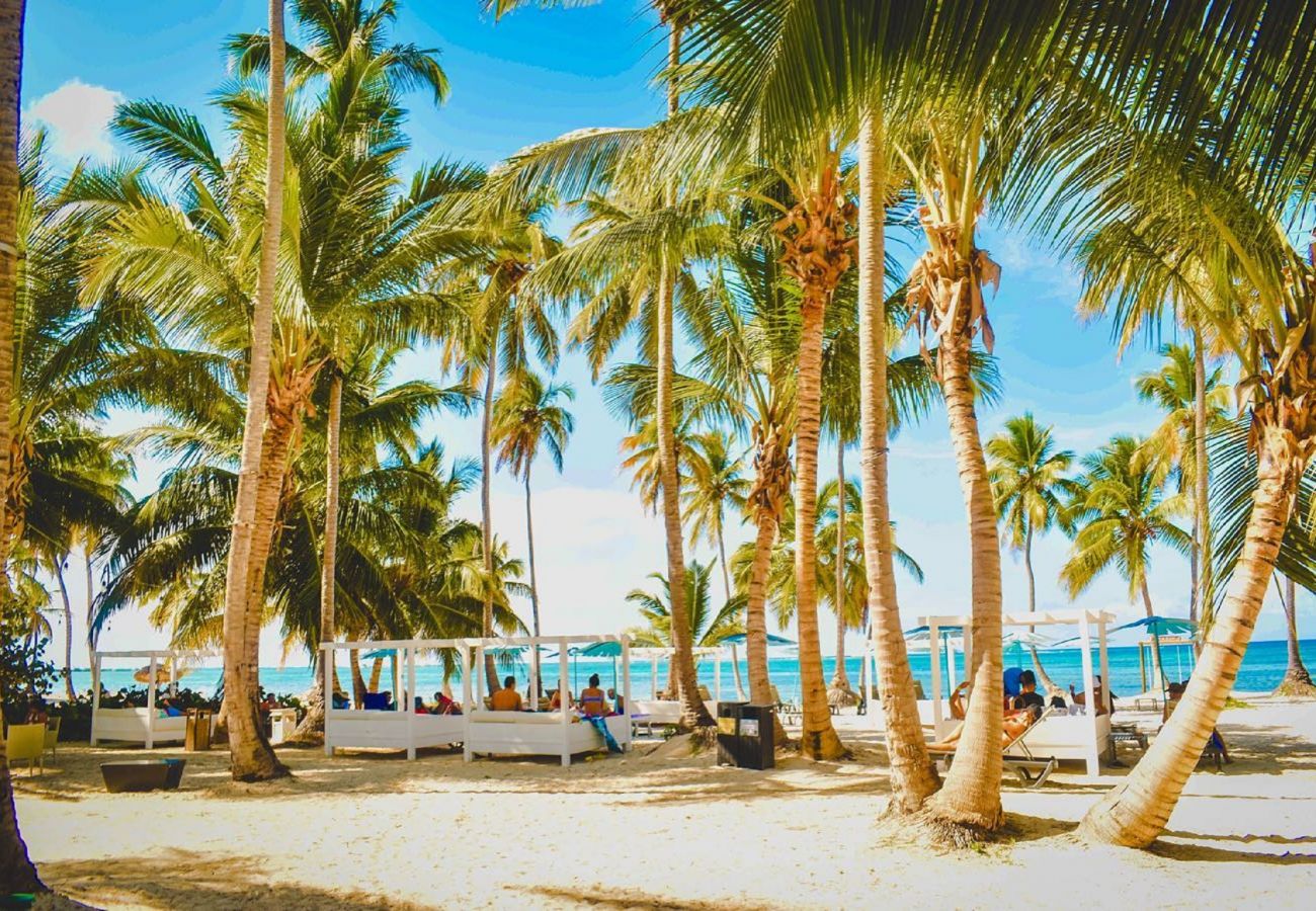Apartment in Bávaro - New apartment with shared pool in Playa Bavaro.