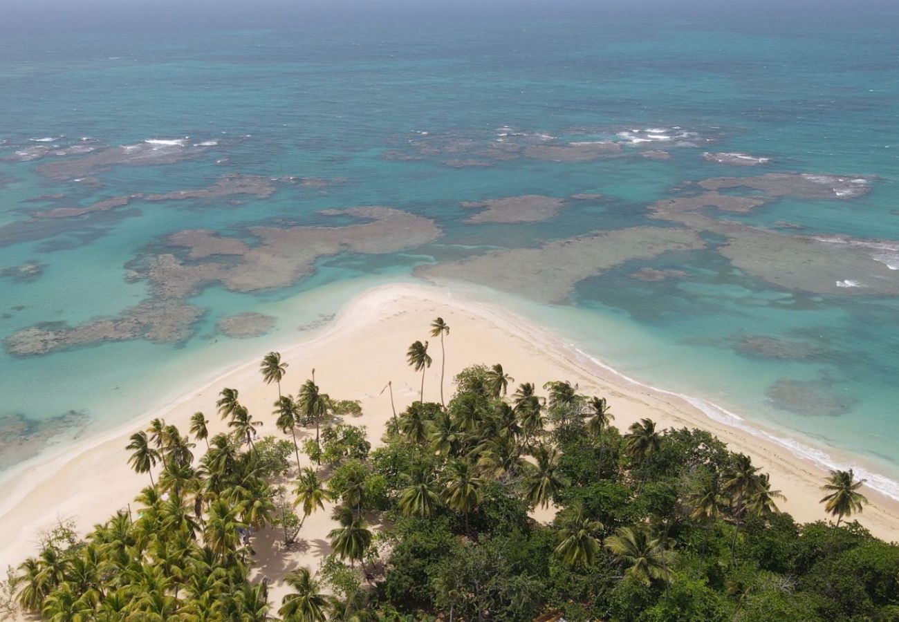 Apartment in Las Terrenas - Las Terrenas the fishers town 2 bed REs. Montserra