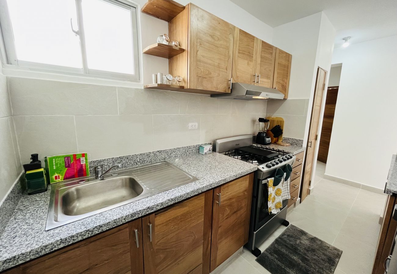 Apartment in Bávaro - New cozy beach apartment with private beach on WS