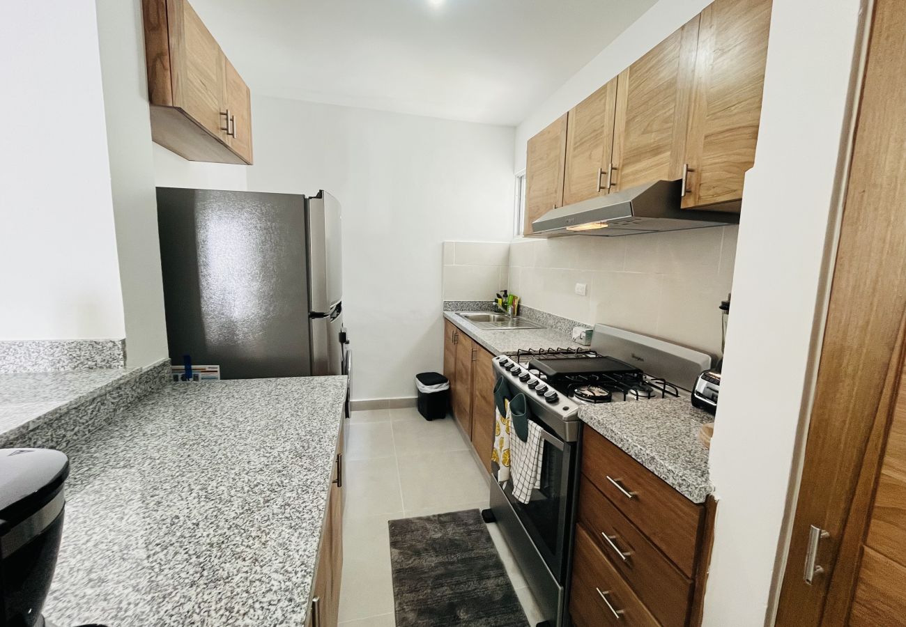 Apartment in Bávaro - New cozy beach apartment with private beach on WS