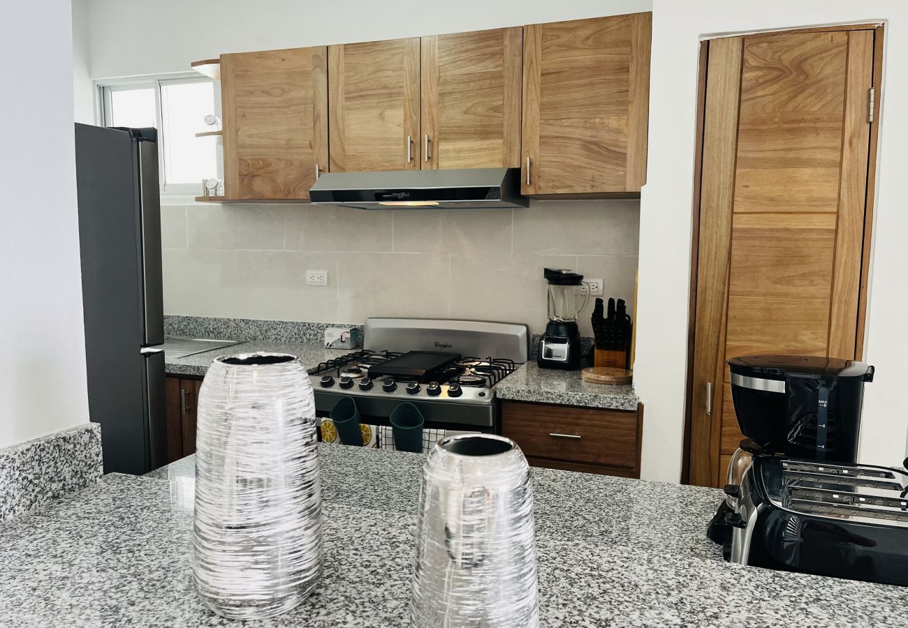 Apartment in Bávaro - New cozy beach apartment with private beach on WS