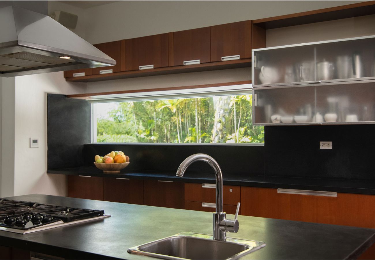 Villa in Punta Cana - Exclusive Villa in Cap Cana with Eden Rock Beach A