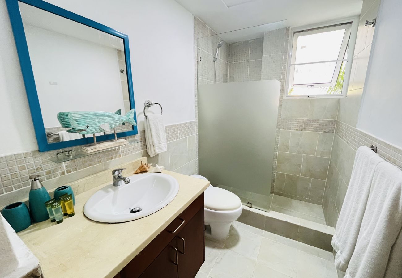 Apartment in Bávaro - Beauty pool views aparment with private beach.O201