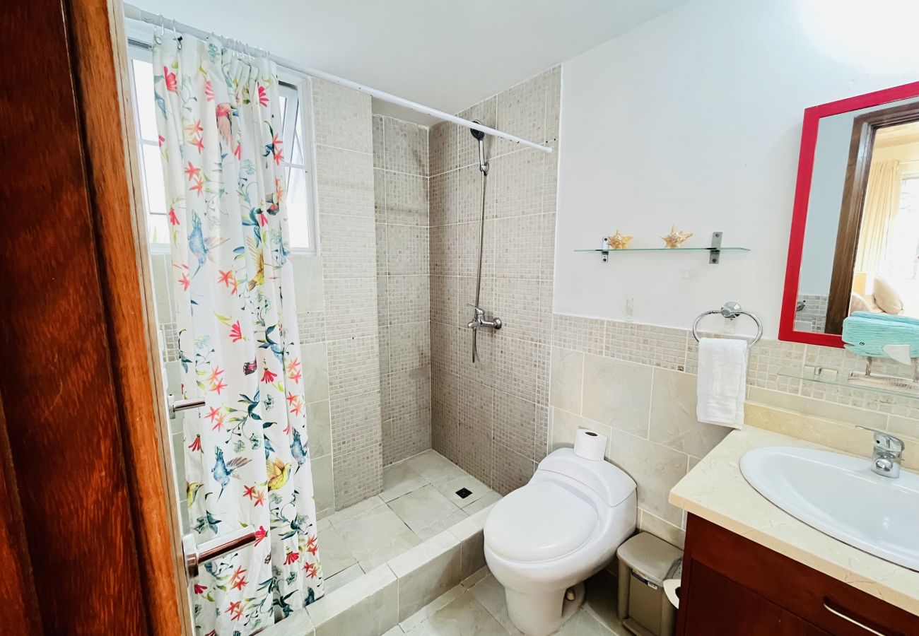 Apartment in Bávaro - Beauty pool views aparment with private beach.O201